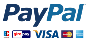 paypal_big300